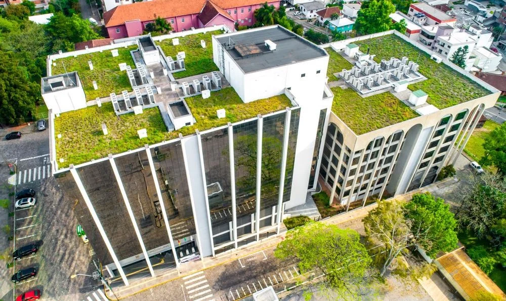 Roof Plant Screens: A Way to Create Green Roofs